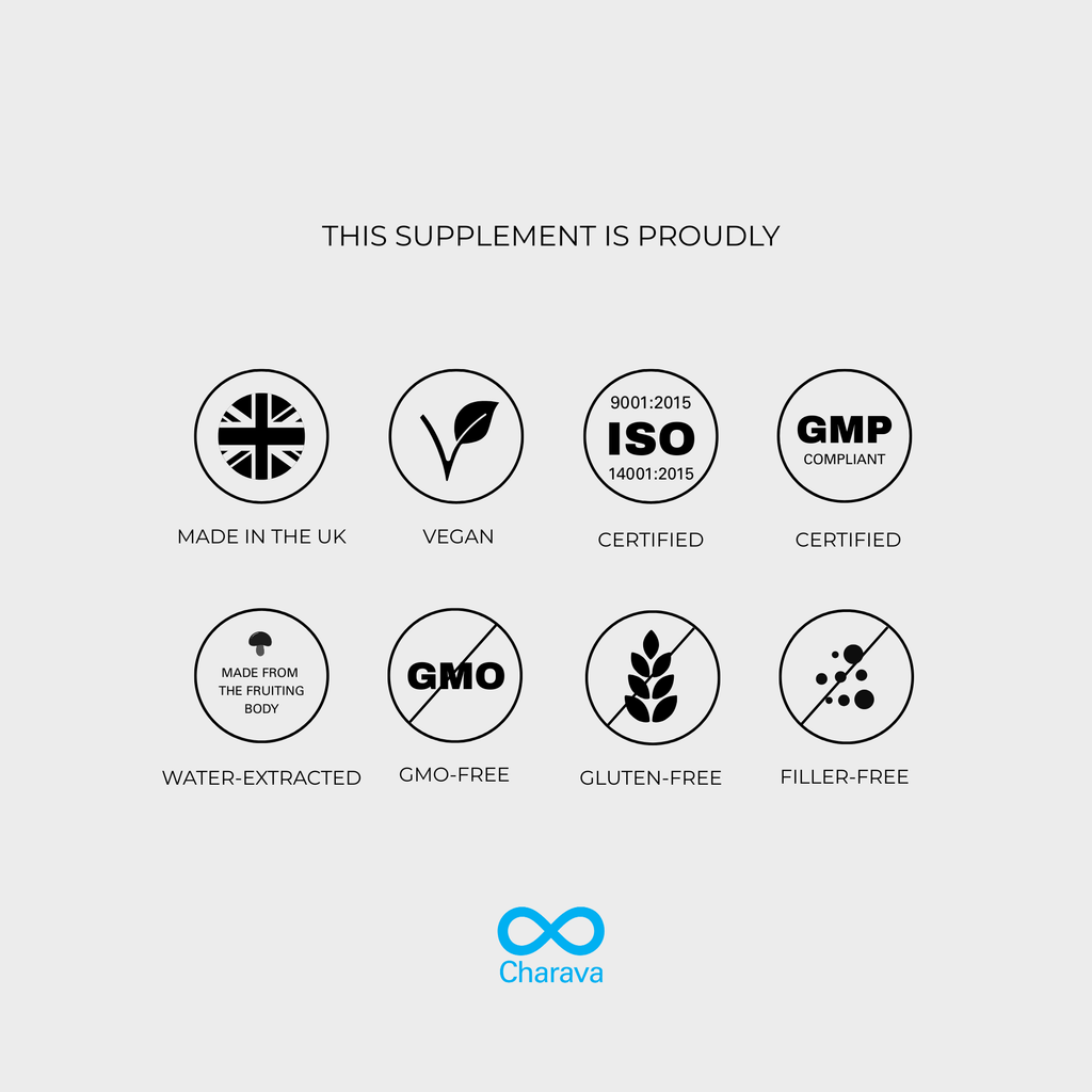 Lion's Mane Powder - 60 Grams - 30 Servings